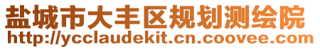 鹽城市大豐區規劃測繪院