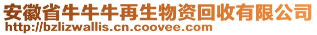 安徽省牛牛牛再生物資回收有限公司