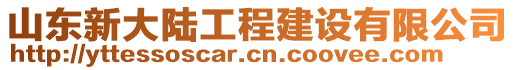 山東新大陸工程建設(shè)有限公司