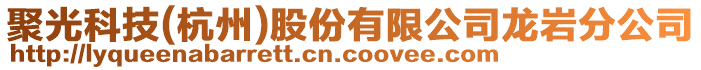 聚光科技(杭州)股份有限公司龍巖分公司