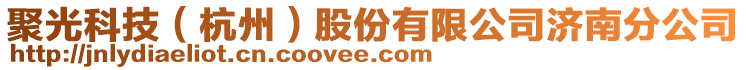 聚光科技（杭州）股份有限公司濟(jì)南分公司