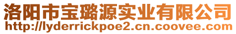 洛陽市寶璐源實業(yè)有限公司