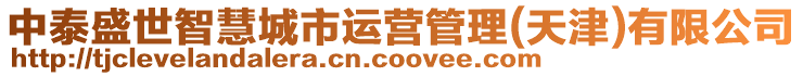 中泰盛世智慧城市運營管理(天津)有限公司