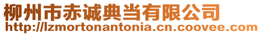 柳州市赤誠典當(dāng)有限公司