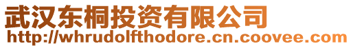 武漢東桐投資有限公司