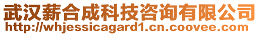 武漢薪合成科技咨詢有限公司