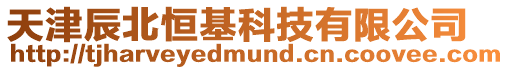 天津辰北恒基科技有限公司