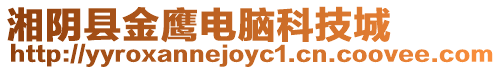 湘陰縣金鷹電腦科技城