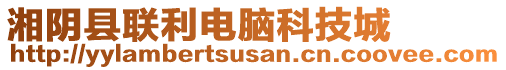 湘陰縣聯(lián)利電腦科技城