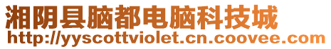 湘陰縣腦都電腦科技城