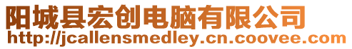 陽城縣宏創電腦有限公司