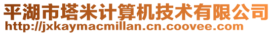 平湖市塔米計(jì)算機(jī)技術(shù)有限公司