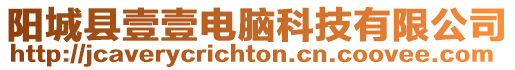 陽城縣壹壹電腦科技有限公司