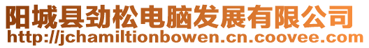 陽(yáng)城縣勁松電腦發(fā)展有限公司