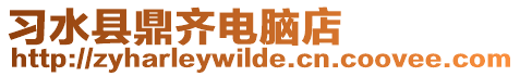 習水縣鼎齊電腦店