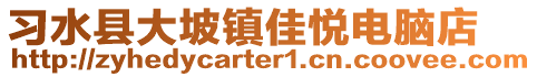 習水縣大坡鎮(zhèn)佳悅電腦店