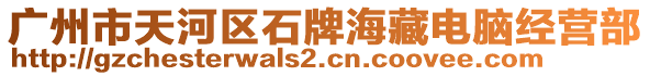 廣州市天河區(qū)石牌海藏電腦經(jīng)營(yíng)部