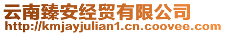 云南臻安經貿有限公司