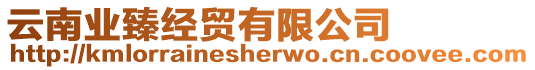 云南業(yè)臻經(jīng)貿(mào)有限公司