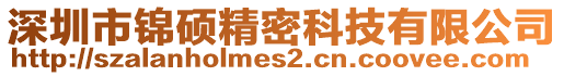 深圳市錦碩精密科技有限公司