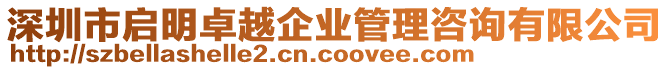 深圳市啟明卓越企業管理咨詢有限公司