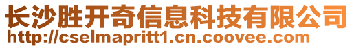 長沙勝開奇信息科技有限公司