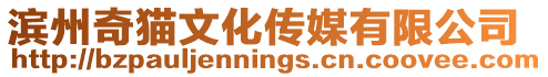 濱州奇貓文化傳媒有限公司