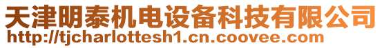 天津明泰機(jī)電設(shè)備科技有限公司