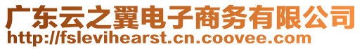 廣東云之翼電子商務(wù)有限公司