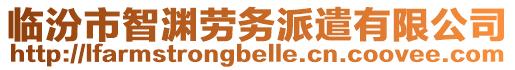 臨汾市智淵勞務派遣有限公司