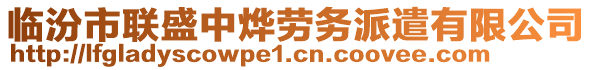 臨汾市聯(lián)盛中燁勞務(wù)派遣有限公司