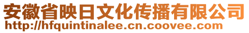 安徽省映日文化傳播有限公司