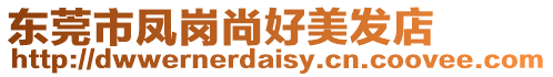 東莞市鳳崗尚好美發店