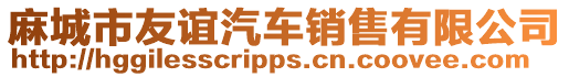麻城市友誼汽車銷售有限公司