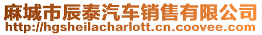 麻城市辰泰汽車銷售有限公司