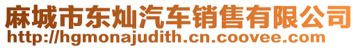 麻城市東燦汽車銷售有限公司