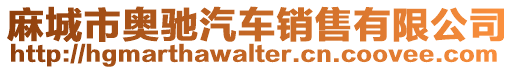 麻城市奧馳汽車銷售有限公司