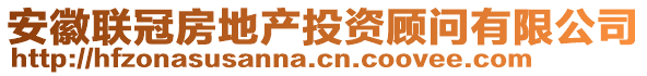 安徽聯冠房地產投資顧問有限公司