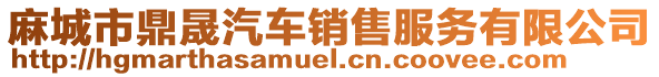麻城市鼎晟汽車銷售服務有限公司