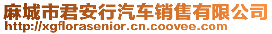 麻城市君安行汽車銷售有限公司