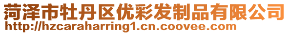 菏澤市牡丹區(qū)優(yōu)彩發(fā)制品有限公司
