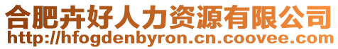 合肥卉好人力資源有限公司