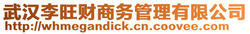 武漢李旺財商務管理有限公司