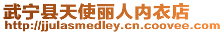 武寧縣天使麗人內(nèi)衣店