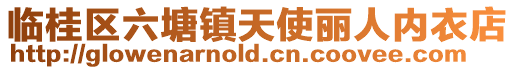 臨桂區六塘鎮天使麗人內衣店