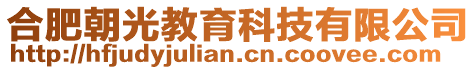 合肥朝光教育科技有限公司