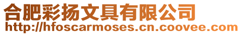 合肥彩揚文具有限公司