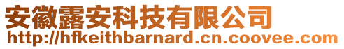 安徽露安科技有限公司