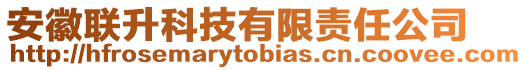 安徽聯(lián)升科技有限責任公司