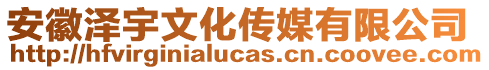 安徽澤宇文化傳媒有限公司